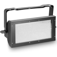 Cameo Thunder Wash 600 W Light